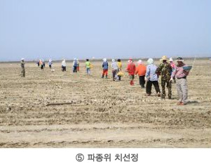 ⑤ 파종위치선정 